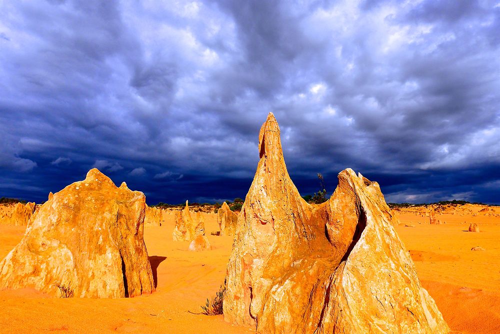 Désert des Pinnacles