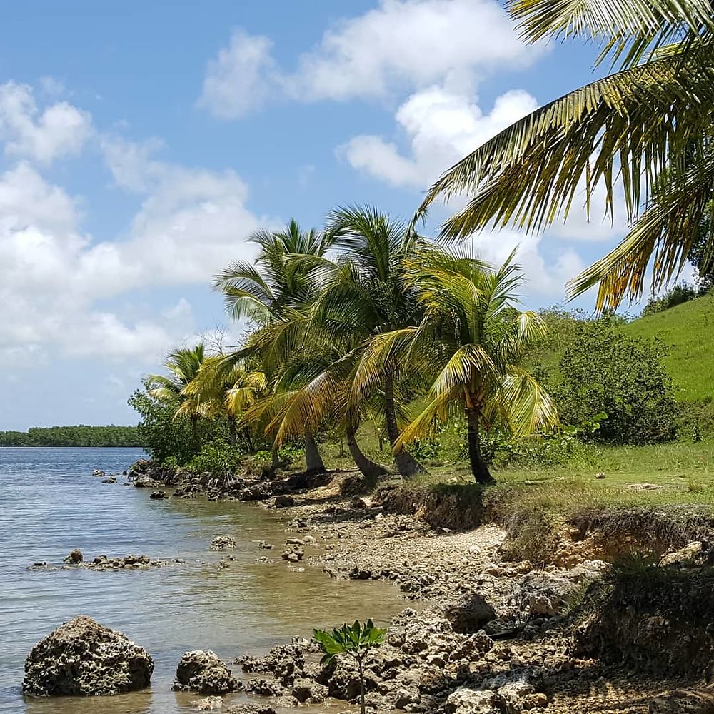 Plage de Babin à Vieux-Bourg