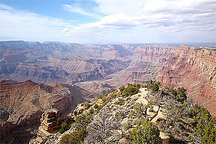 Le Grand Canyon depuis Desert View