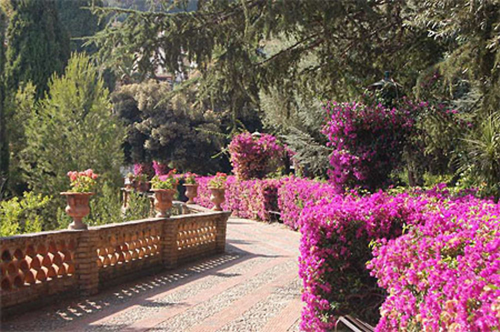 Les lauriers du parc de Taormina