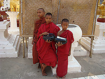 Jeunes moines au Shwezigon