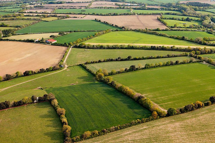 Le haut bocage, de Saint-Michel-Mont-Mercure à Mortagne-sur-Sèvre