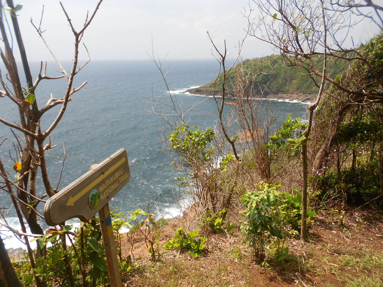 Sur le sentier kalinago