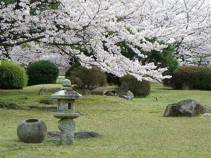 Hanami, dans les jardins du Château d'HIMEJI 