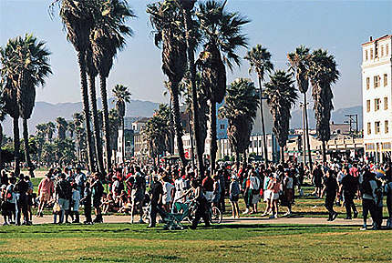 Los Angeles, un dimanche à Venice Beach