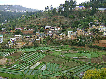 Rizières à Fianarantsoa