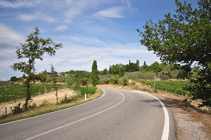 Route toscane, entourée de vignobles