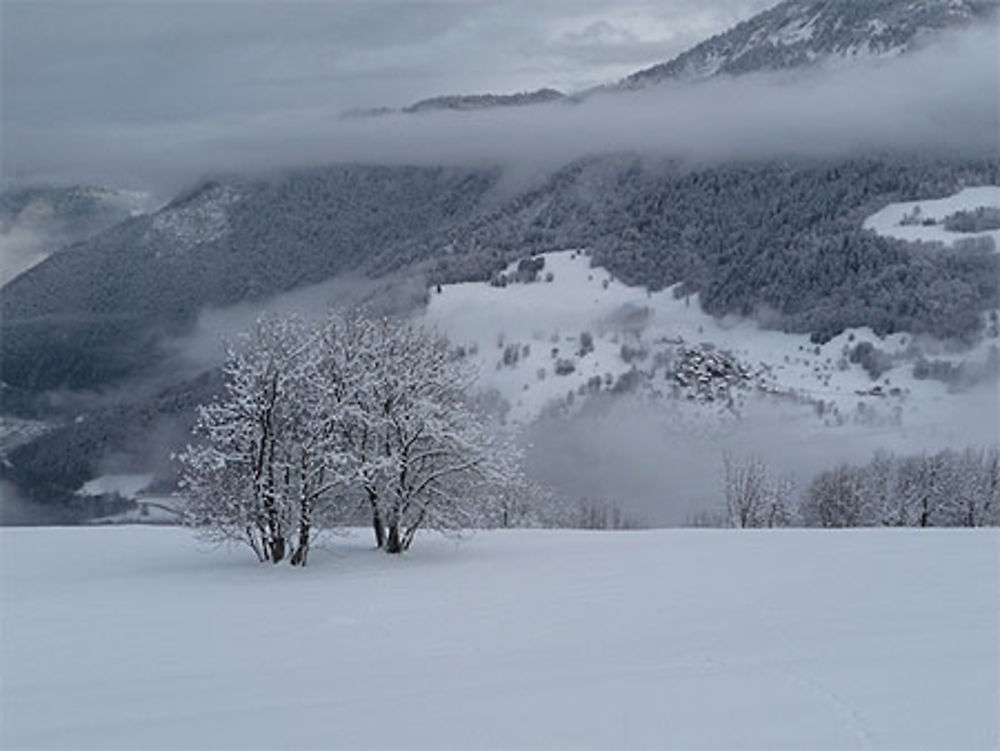 Paysage de brume 