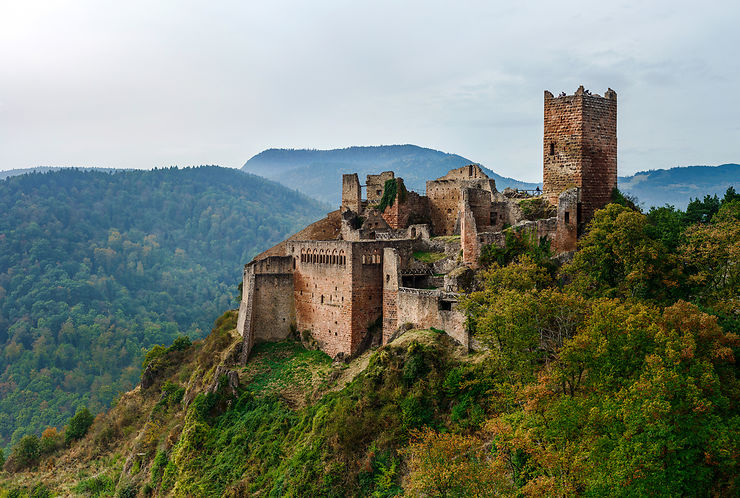 Les Trois Seigneurs de Ribeauvillé - Haut-Rhin (Alsace)