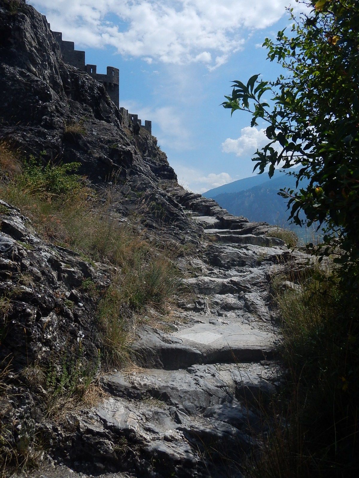 Chemin d'accès au château