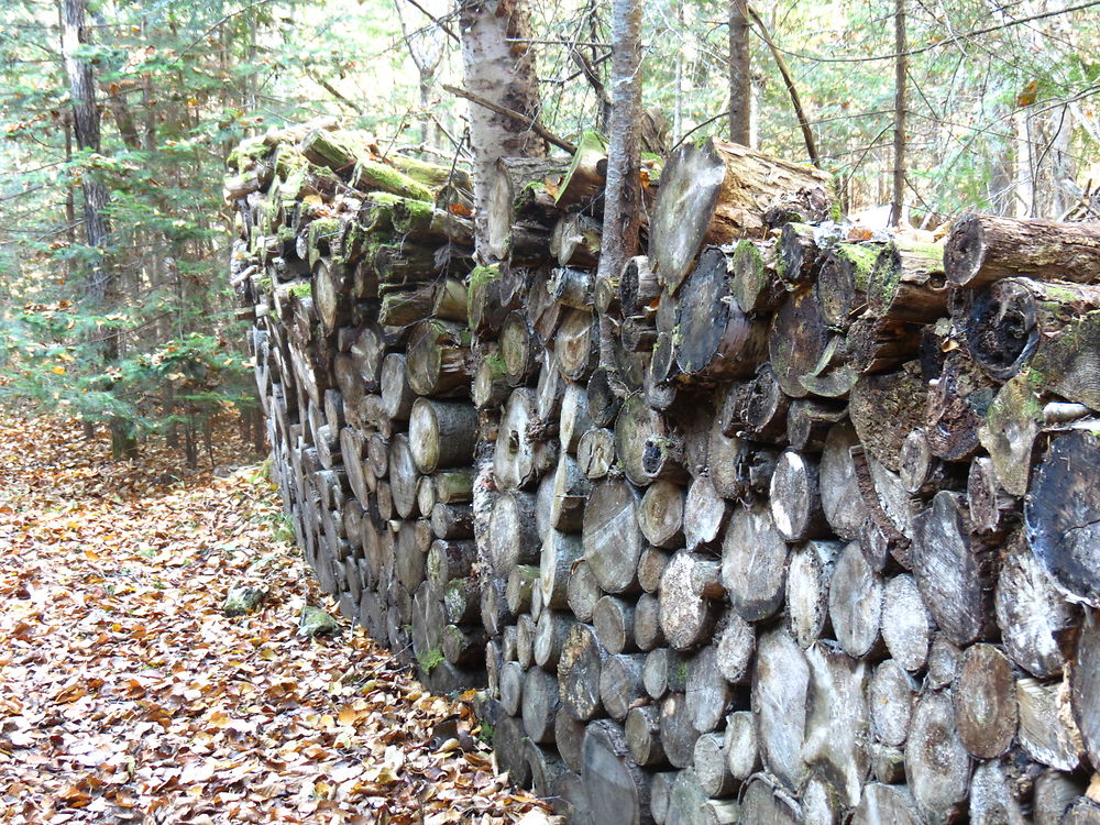 Parc de la Rivière Mitis à Grand Métis