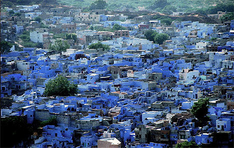 Jodpur la ville bleue