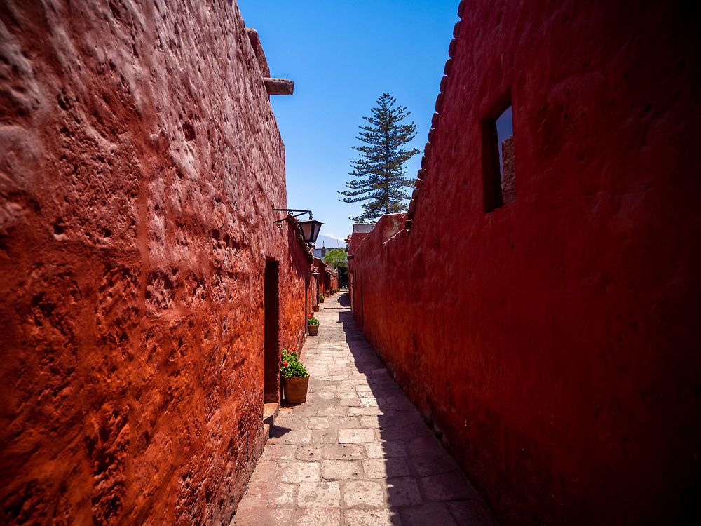 Pérou - Arequipa / Santa Catalina