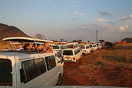 Paparazzis à Tsavo Ouest