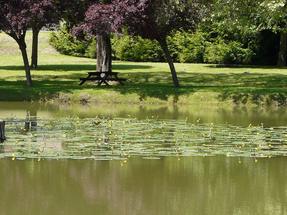 Lac de Paulmy