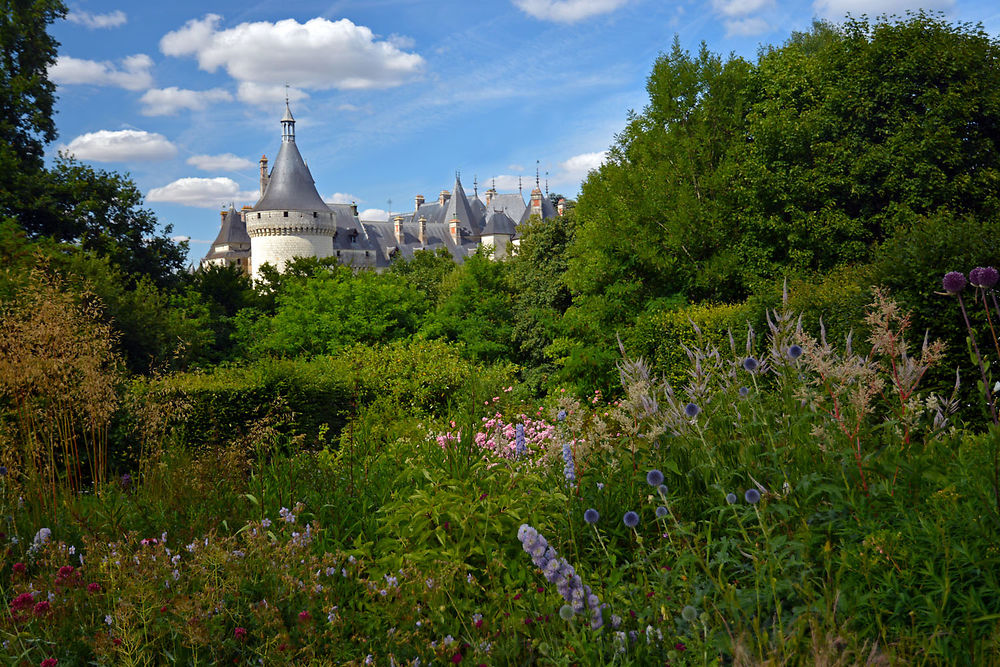 Chaumont sur Loire