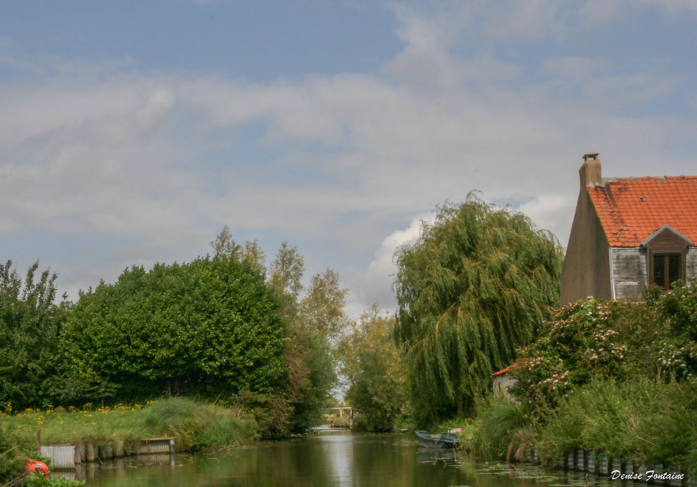 Le marais audomarois