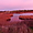 Les étangs de Lannenec nimbés de rose