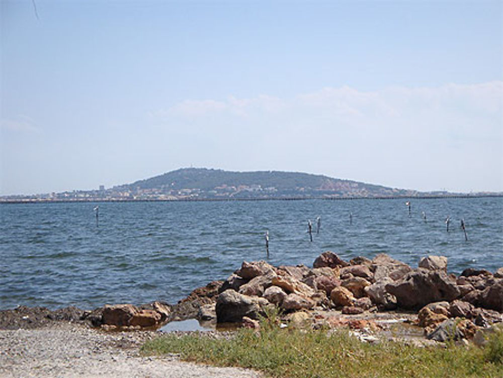 Etang de Thau, colline de Sète