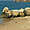 Rochers près de Lagos (Algarve)