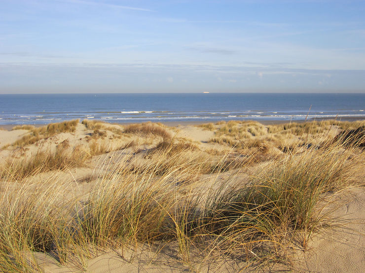 La dune Marchand, le Sahara du Nord - Nord (Nord-Pas-de-Calais)