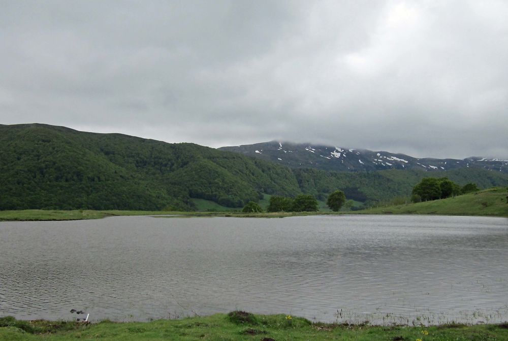 Etang de Lascourt