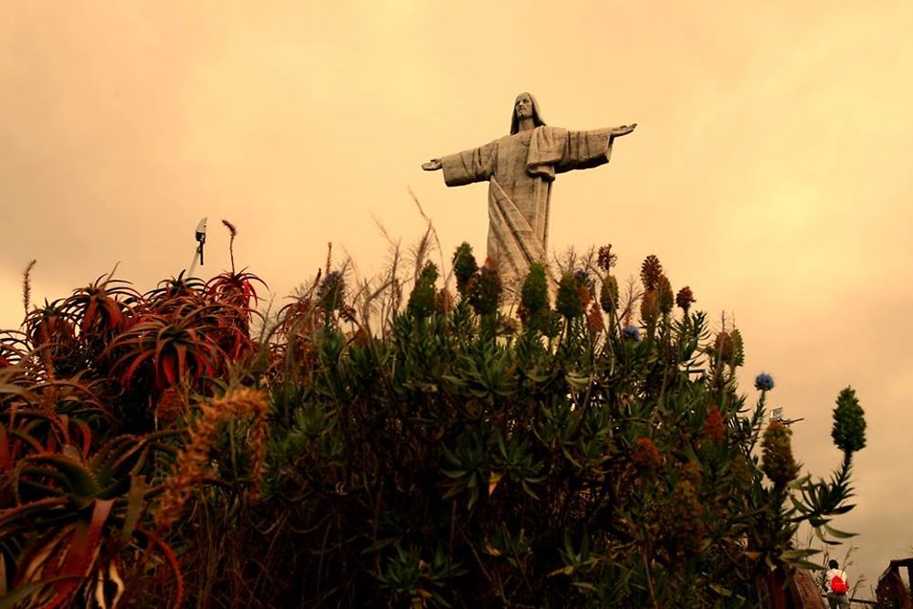 Cristo rei