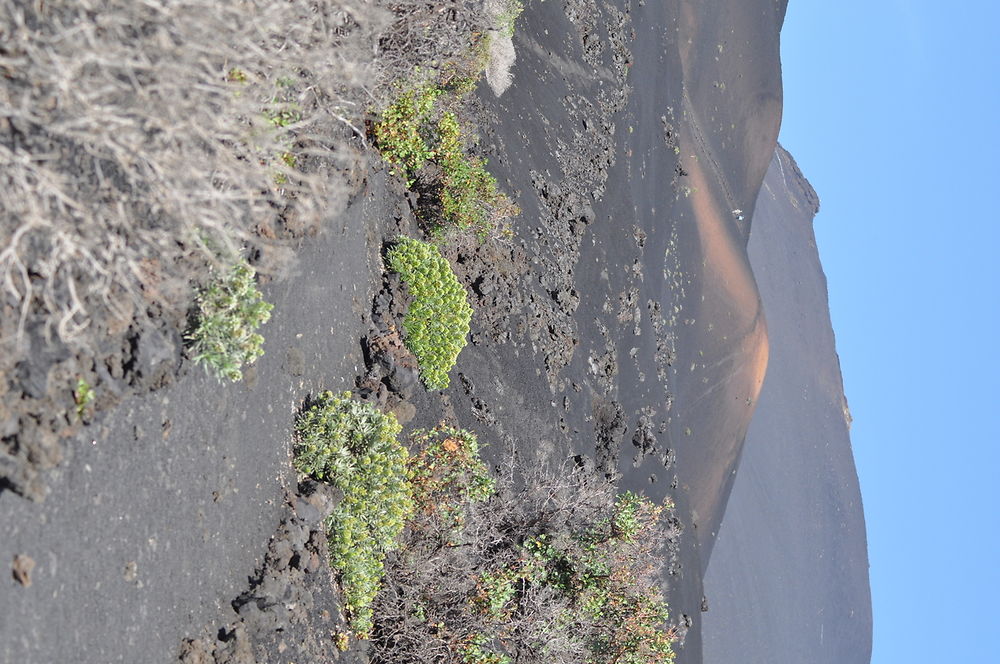 Los Volcanes de Teneguía