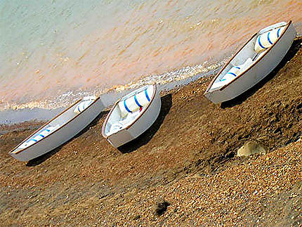 Barques sur le lac Arenal