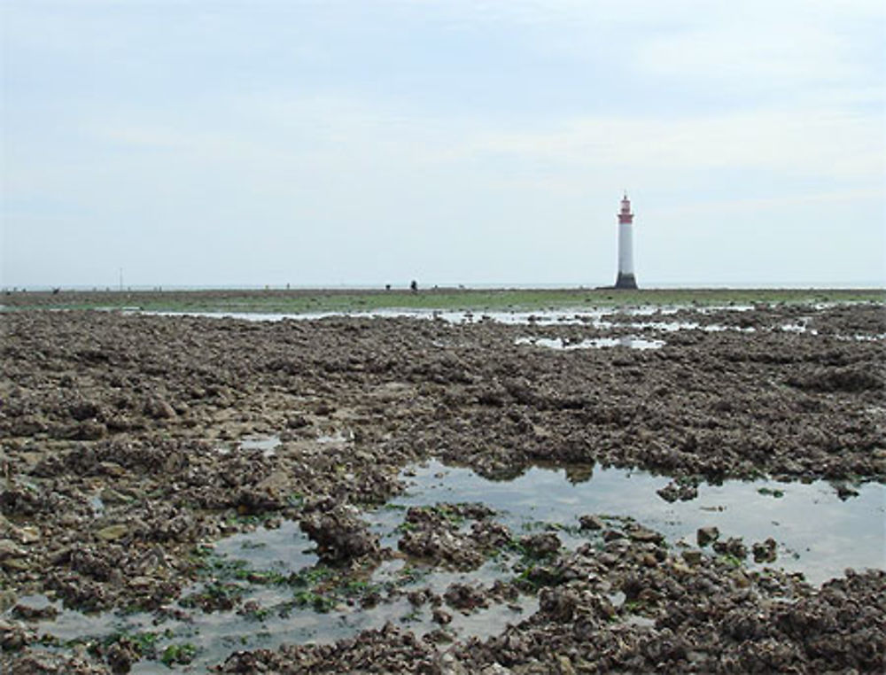 Marée basse à Chauveau