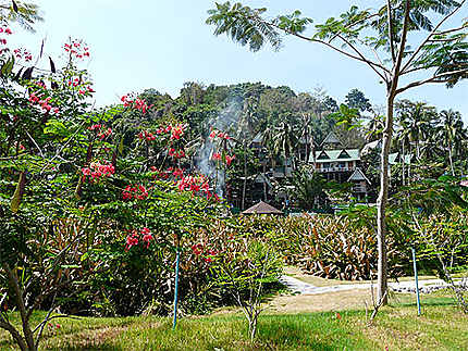 Habitations à Ko Phi Phi