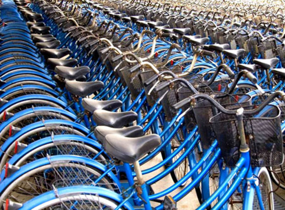 Vélos à gogo
