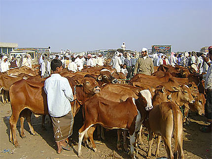 Au marché de Beit al-Faqih