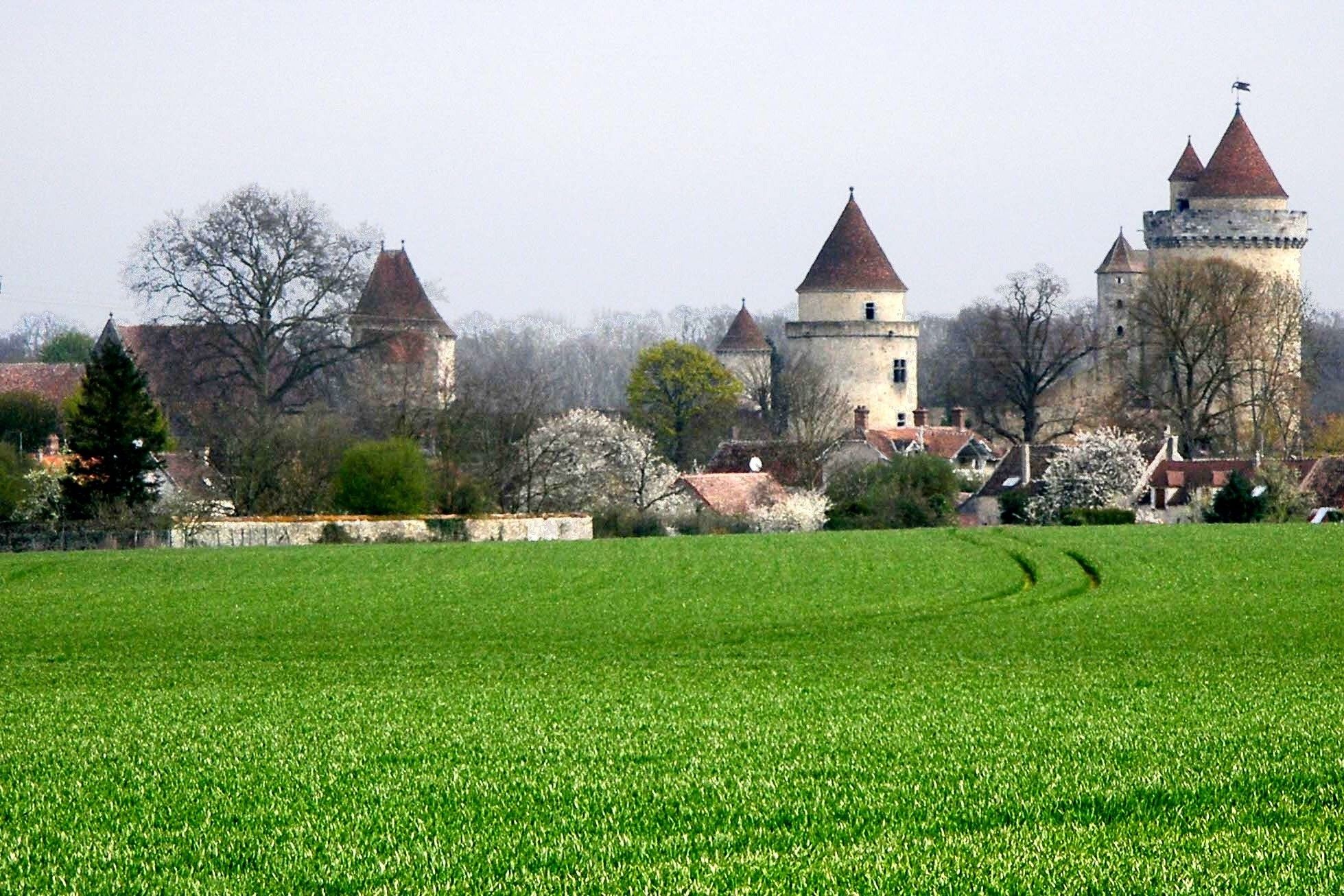 Château de Blandy les Tours