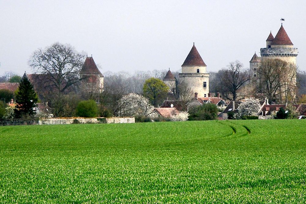 Château de Blandy les Tours