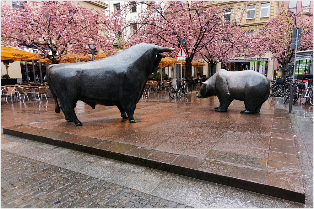 L'ours et le taureau L'ours et le taureau