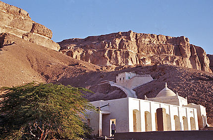 Vallée de l'Hadramaout  (Yemen Sud)