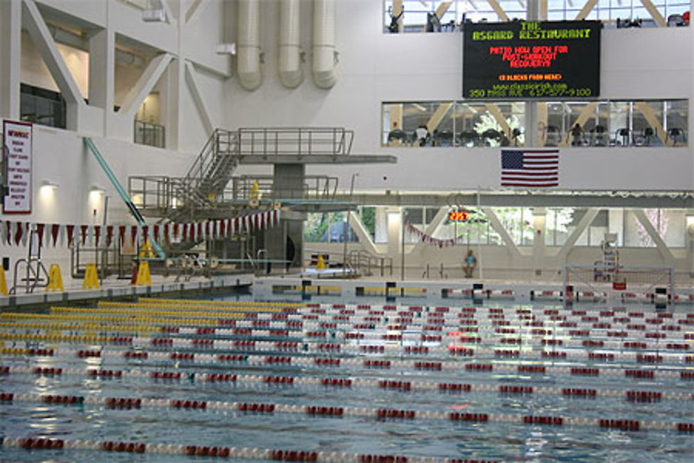 Piscine du MIT