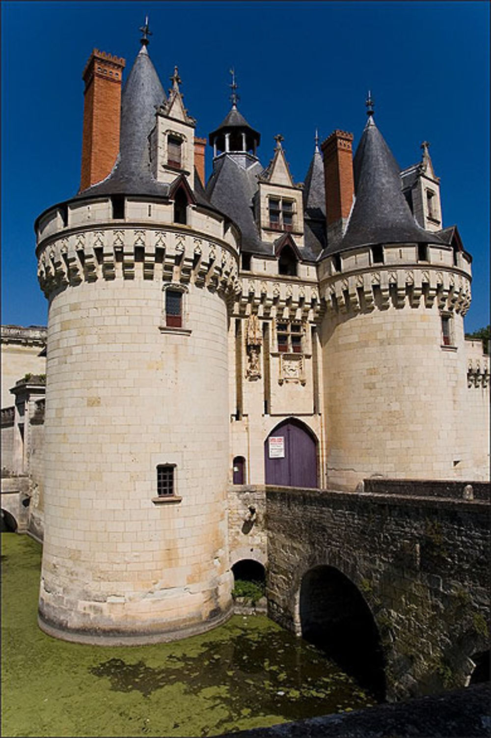 Château de Dissay