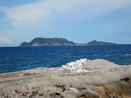 Apo Island Apo Island