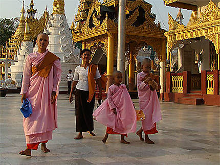 Jeune bonzesses à la pagode Shwedagon