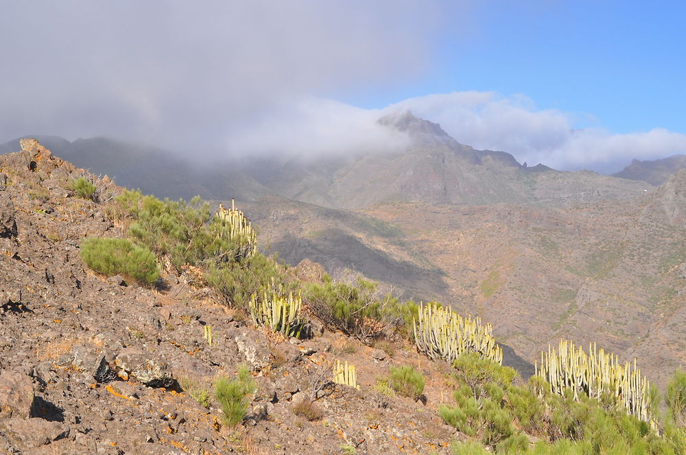 Paysage du massif du Teno