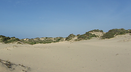 Dunes de Morhinho