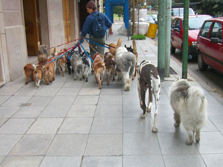 Les maitres de la ville Les maitres de la ville