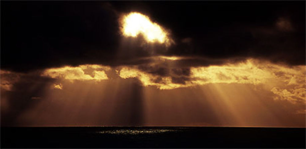 Pluie de soleil