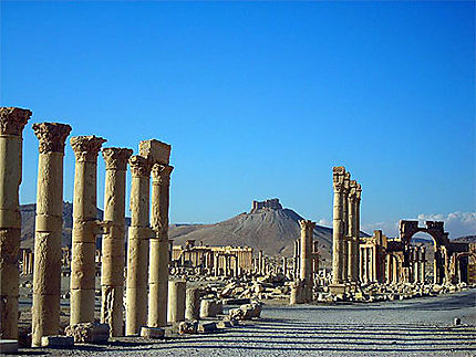 Ruines de Palmyre