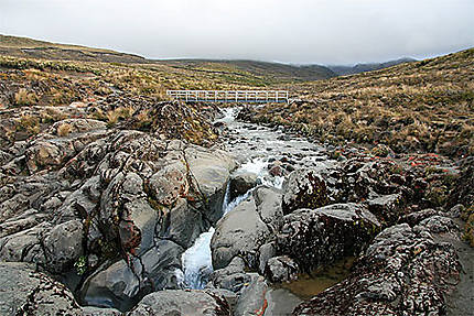 Rivière Tongariro NP