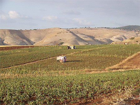 Campagne jordanienne Campagne jordanienne