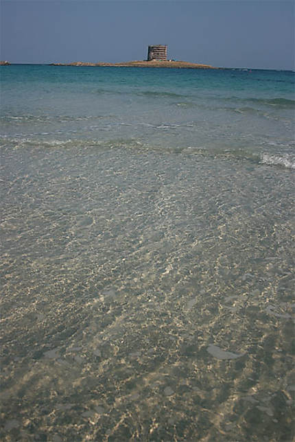Spiaggia della Pelosa de Stintino