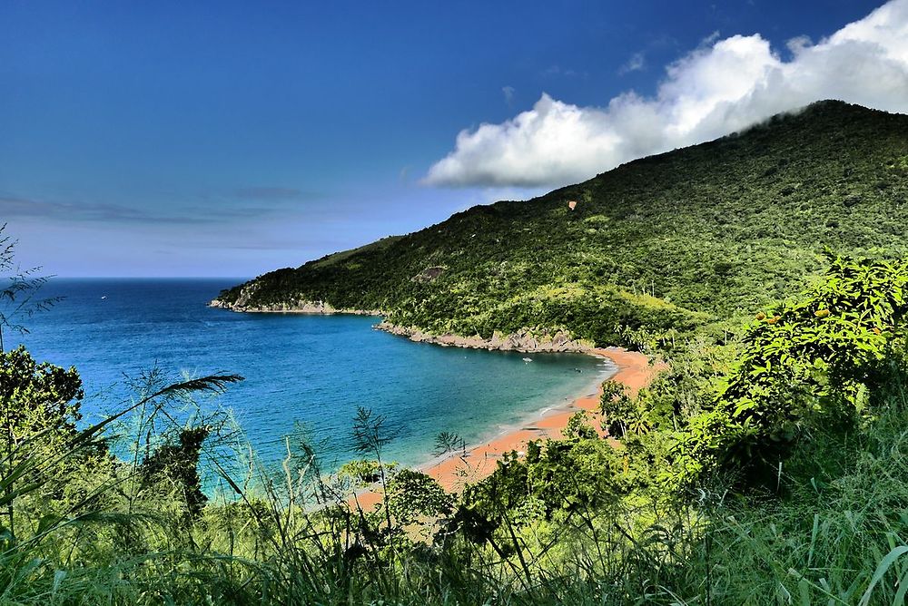 Plage de Bonete Ilhabela Brésil